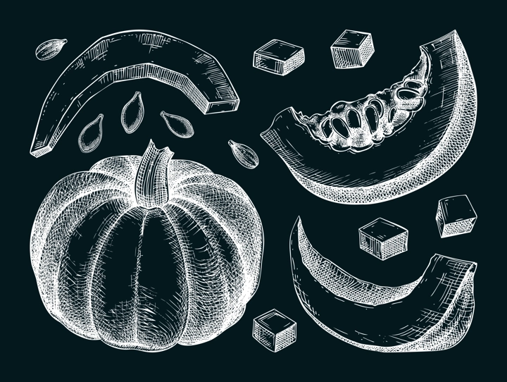 Pumpkin sketches set. Autumn vegetables hand-drawn vector illustrations. Vintage Thanksgiving day design elements on chalkboard. NOT AI generated
